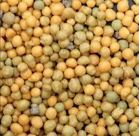 Pikatoimeline väetis