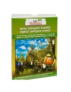 Liimpüünised 10tk valged